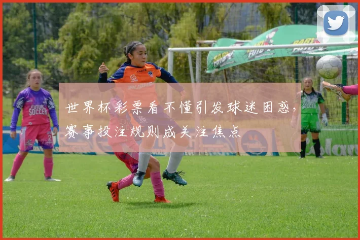 世界杯彩票看不懂引发球迷困惑,赛事投注规则成关注焦点