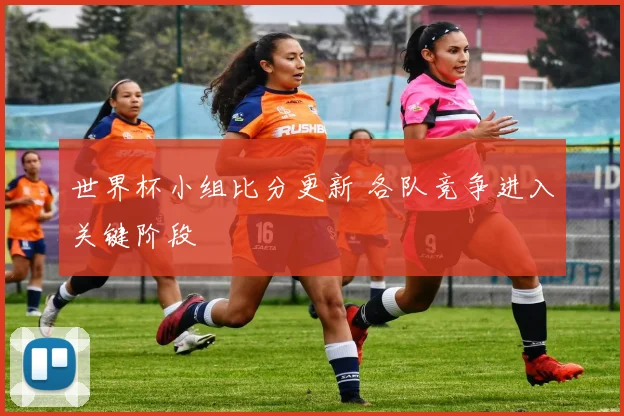 世界杯小组比分更新 各队竞争进入关键阶段