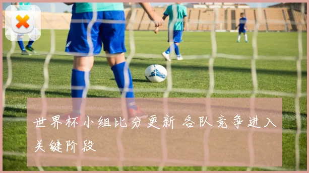 世界杯小组比分更新 各队竞争进入关键阶段