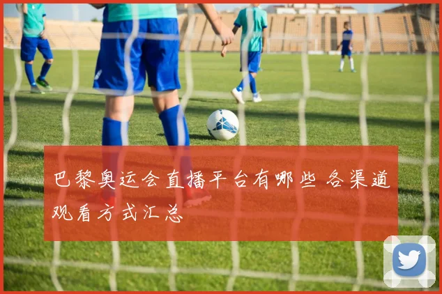 巴黎奥运会直播平台有哪些 各渠道观看方式汇总